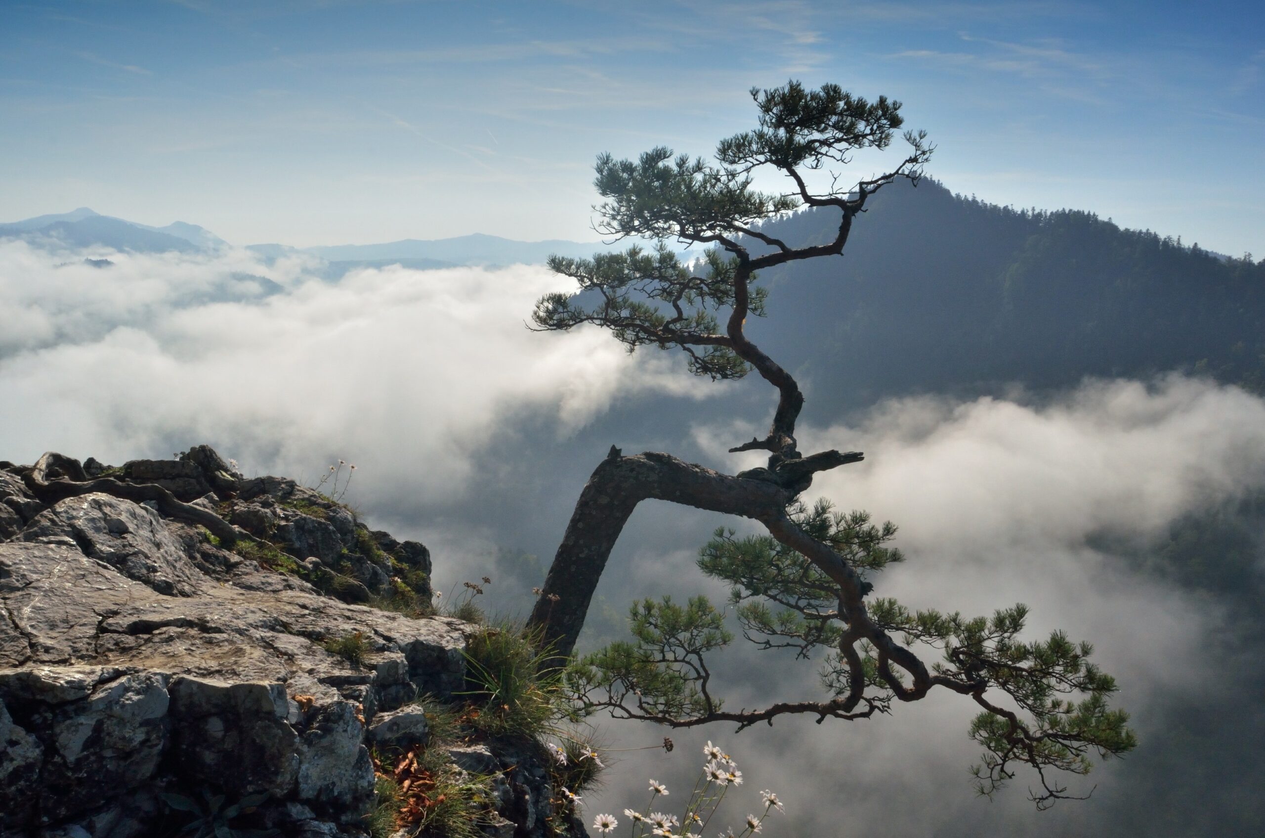 By Wikimigawka - Praca własna, CC BY-SA 3.0 pl